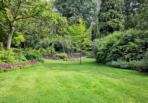 Optimiser l'expérience du jardin à Epeigne-sur-Deme